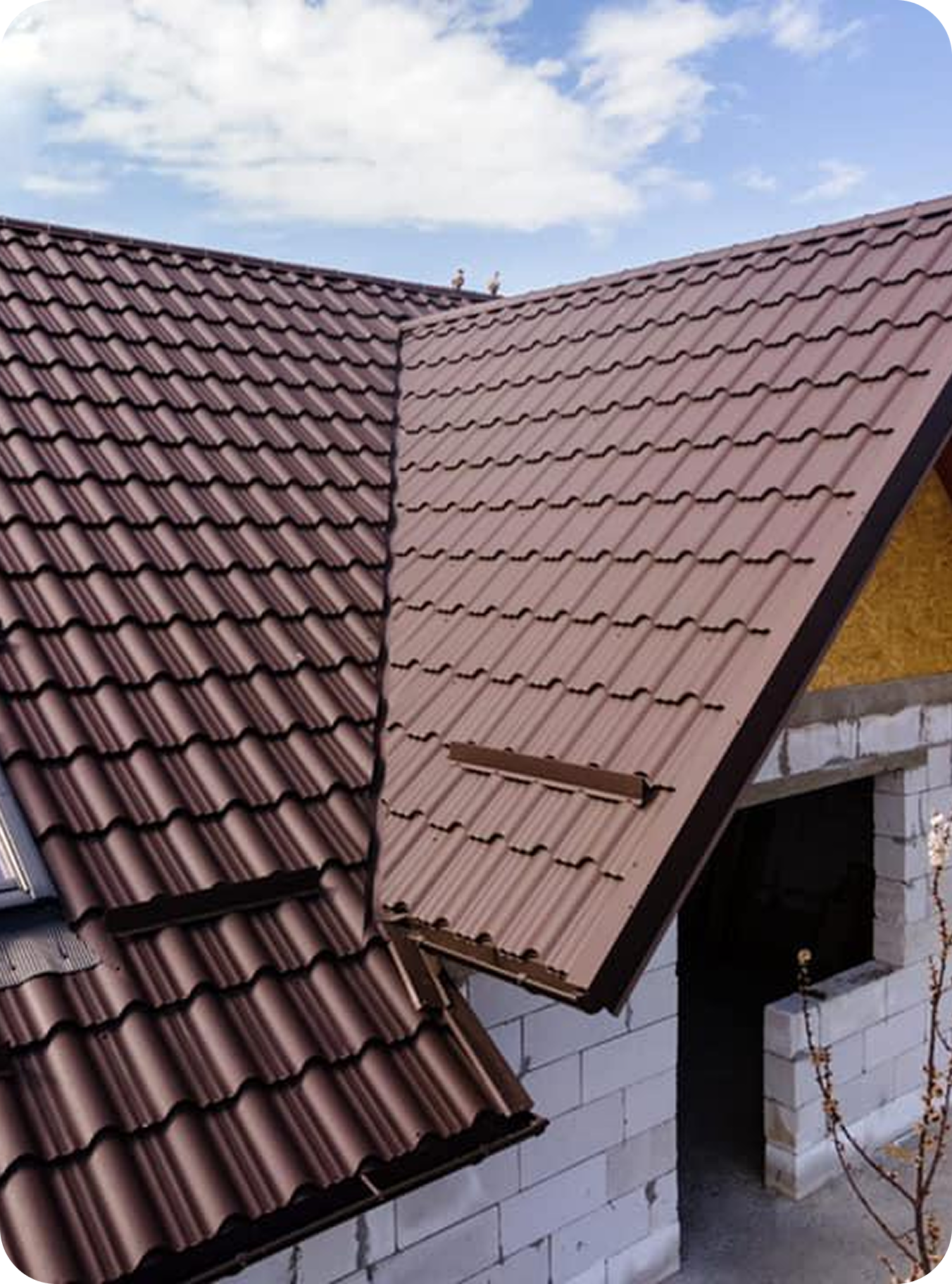 Proiect finalizat Alpina 4